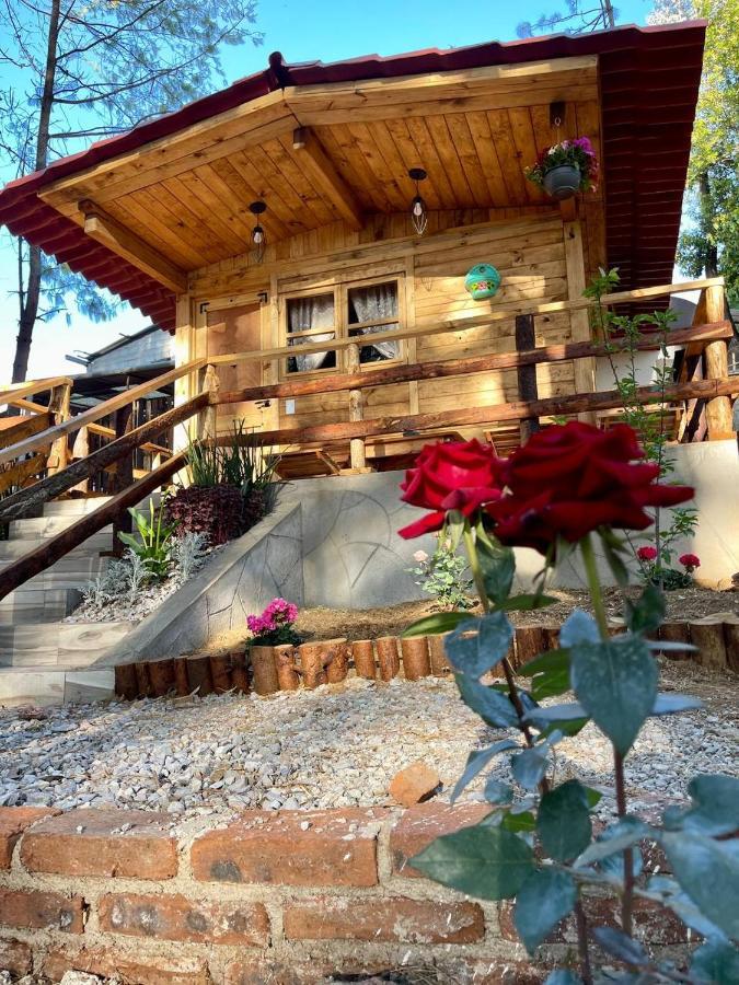 El Descanso Casa-Hotel Zacatlan. Eksteriør bilde