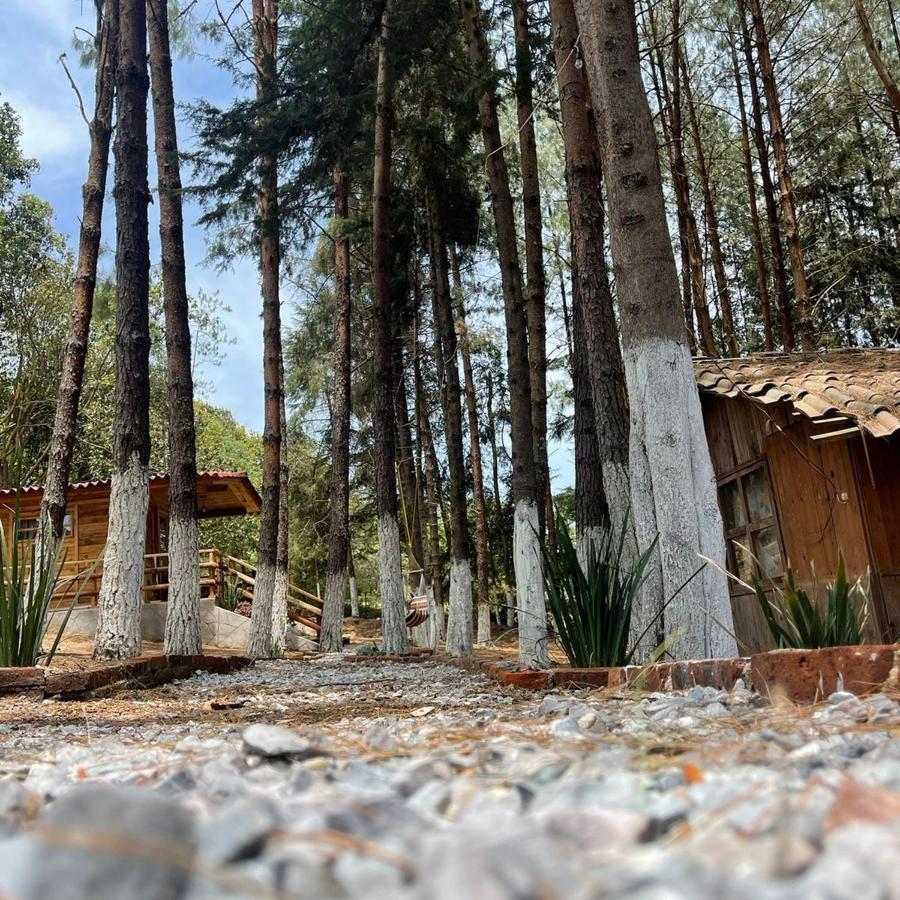 El Descanso Casa-Hotel Zacatlan. Eksteriør bilde
