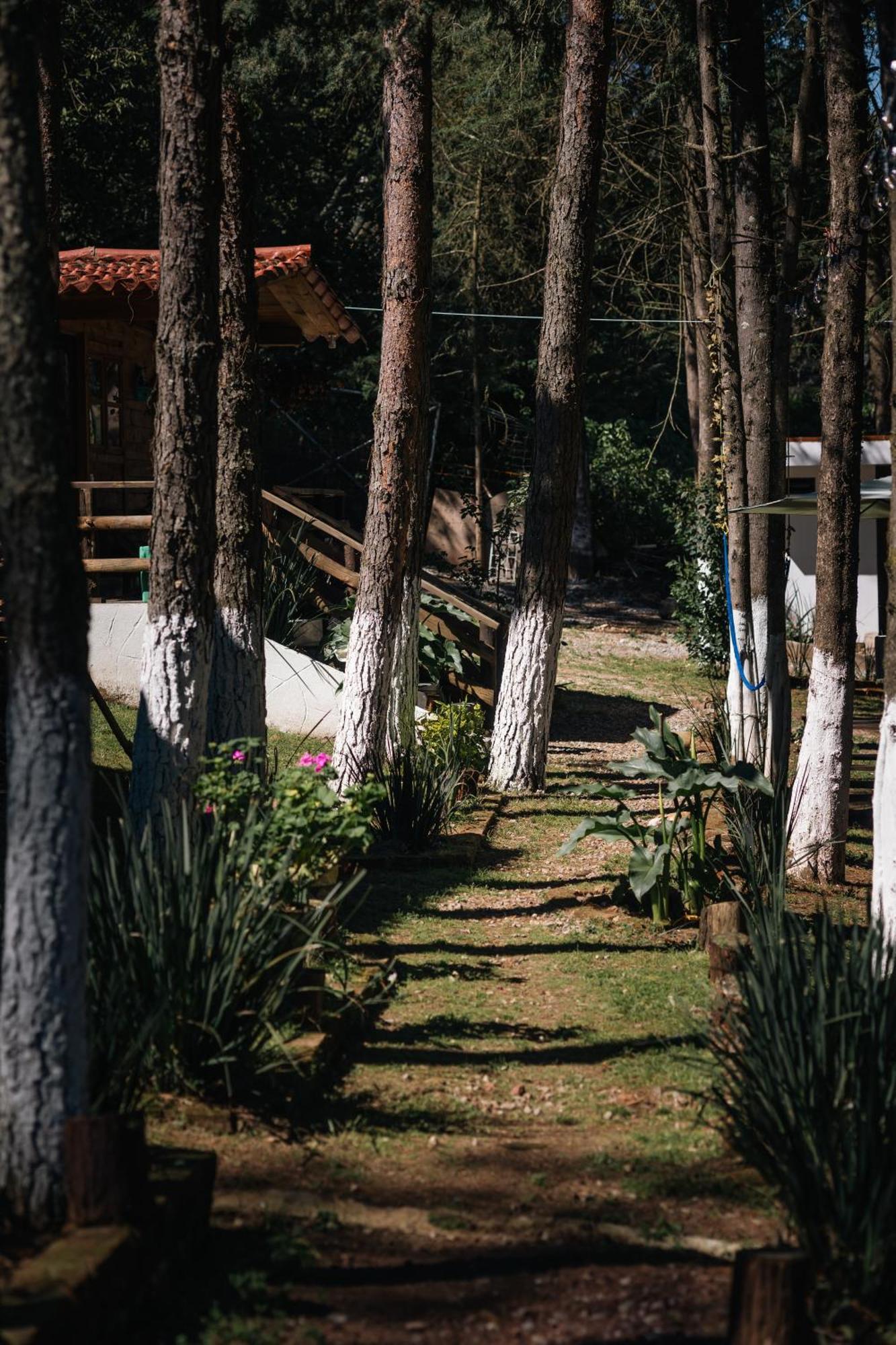 El Descanso Casa-Hotel Zacatlan. Eksteriør bilde